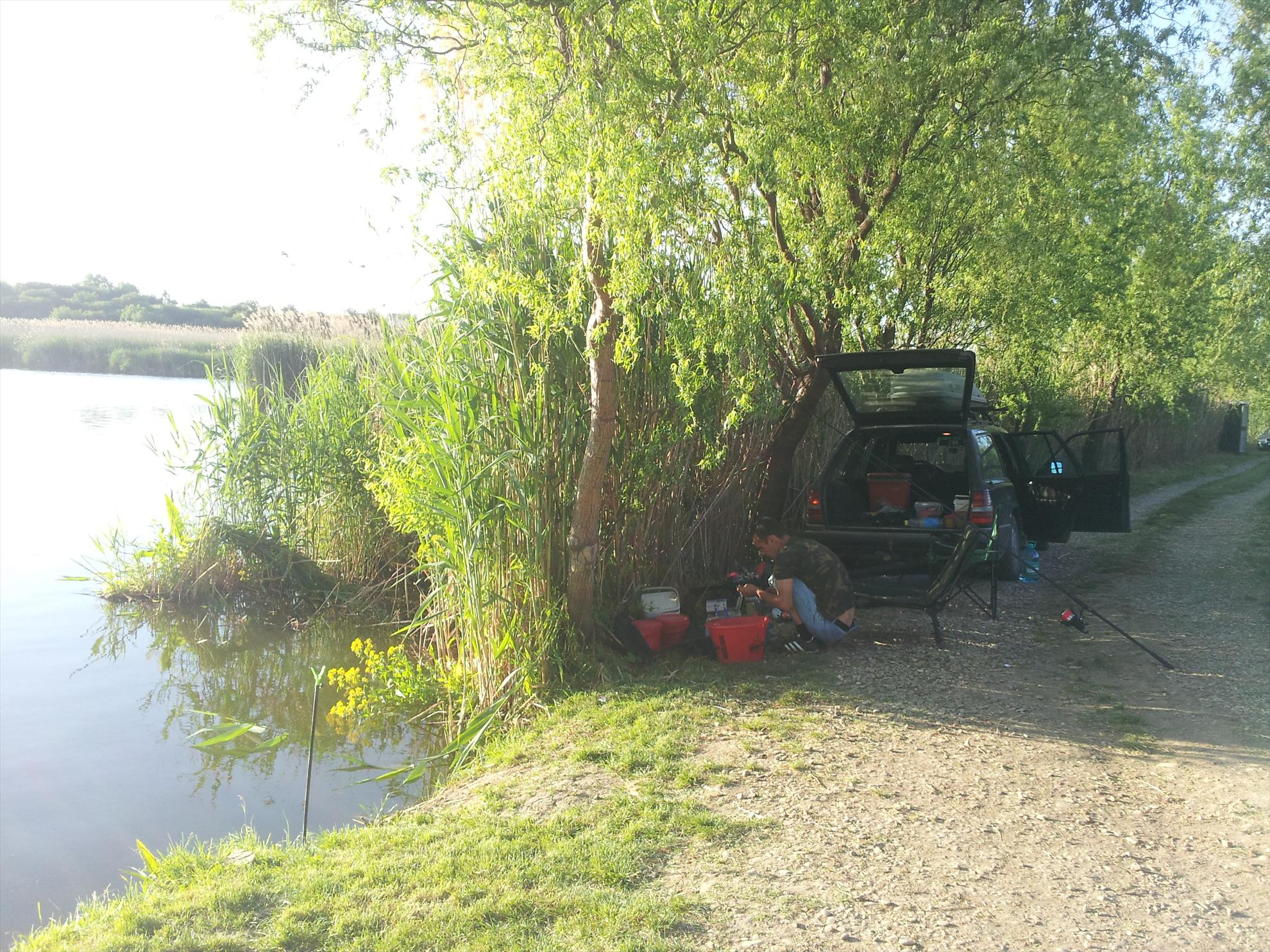 tancabesti 11-12'05''2013 - 20130511191823.jpg